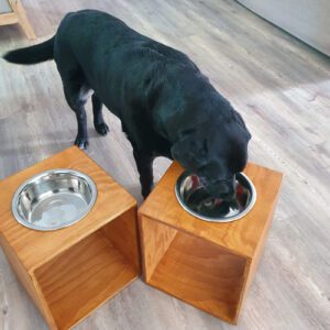 Raised Dog Bowls / Raised Dog Feeders